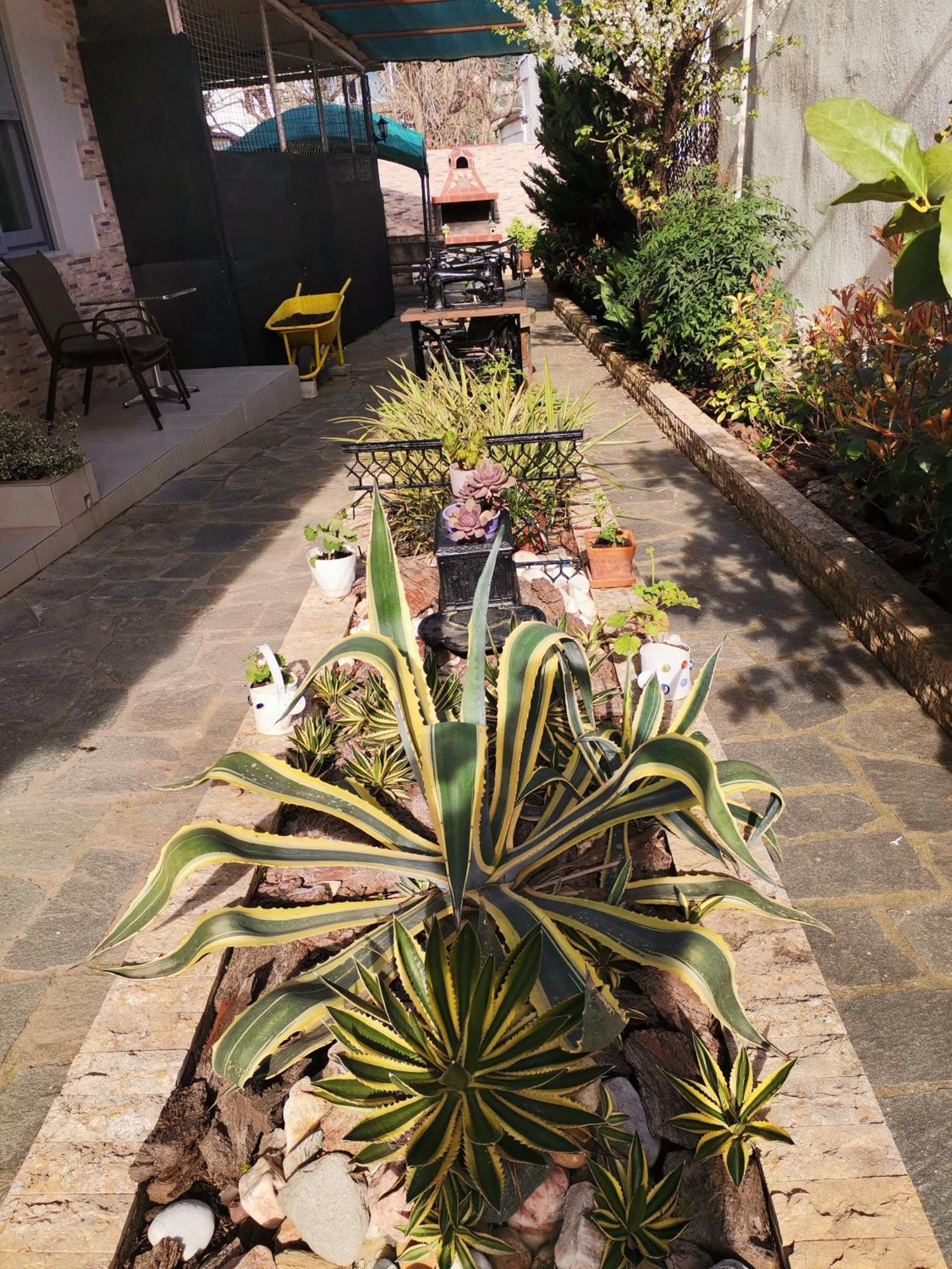 Studios Lia Adults Only -Fully Renovated Chrysi Ammoudia Exteriér fotografie